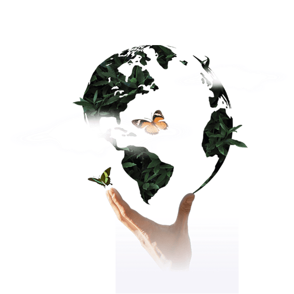 Beneficios de nuestros programas