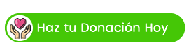Realizar donativo
