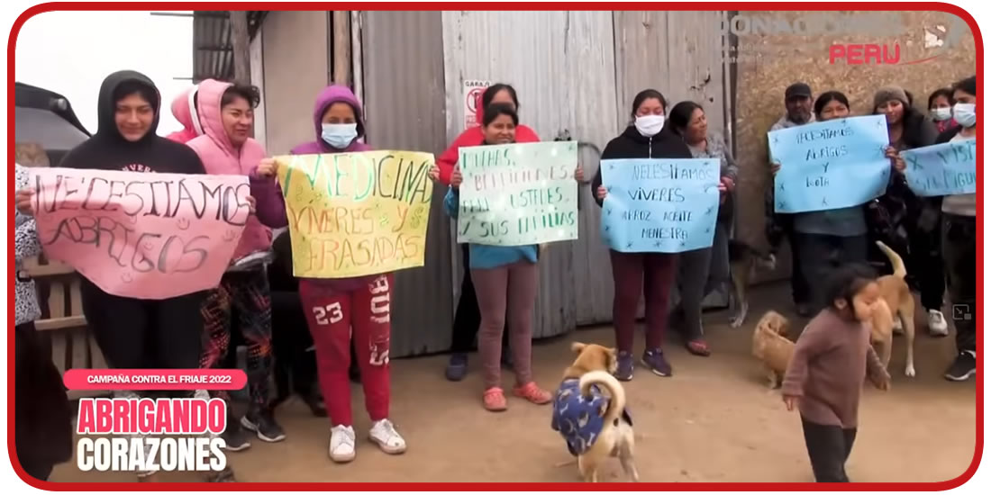 Video reportajes